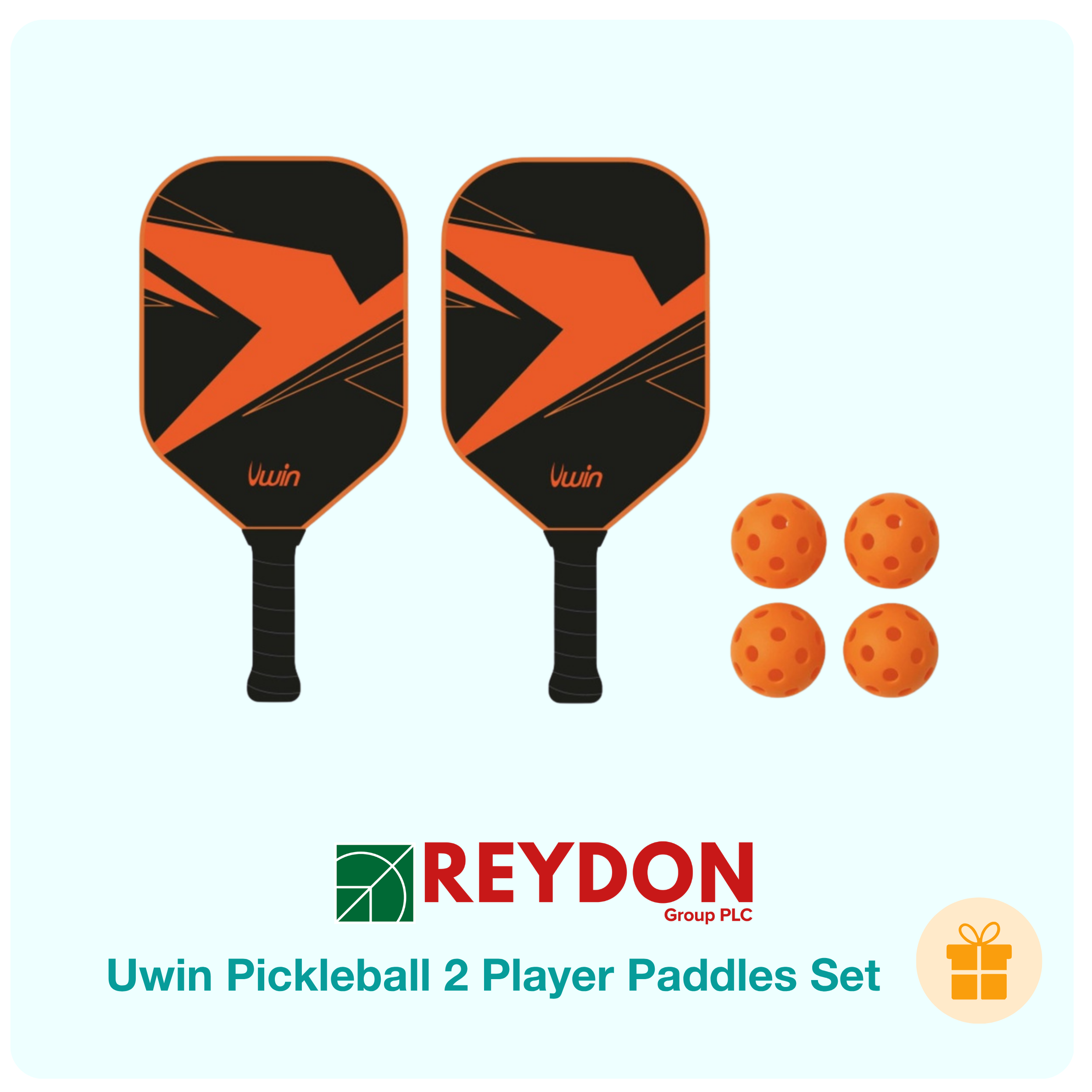 Pickleball Paddle Set