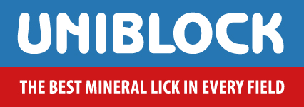 UNIBLOCK Logo